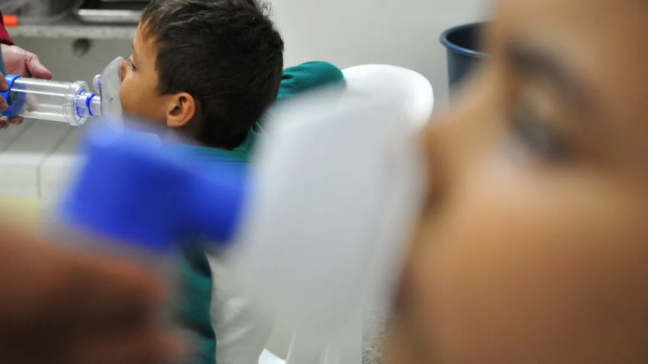 Brasil enfrenta surto de influenza em 2025