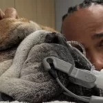 Hamilton com seu melhor amigo