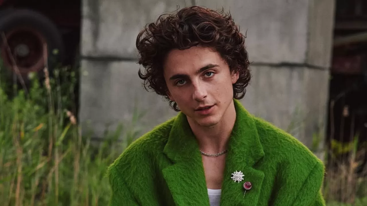 Falas de Timothée Chalamet geram críticas e podem afetar campanha ao Oscar 2026